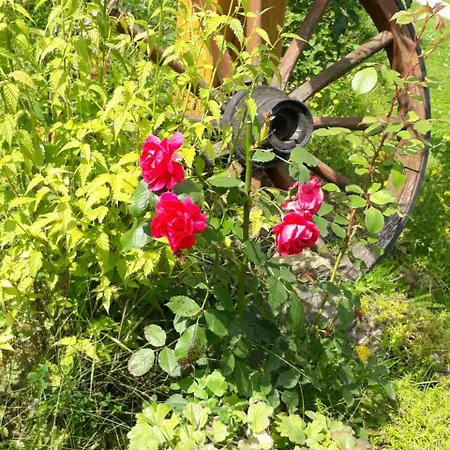 Pod Gorcami Waksmund