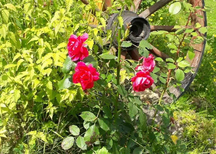 Pod Gorcami Waksmund